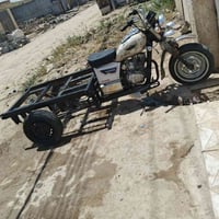 ستوته • ٢٠١٠ • شاصي مكفول