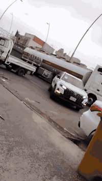 شانجان • ٢٠٢٥ • جلد مشمشي