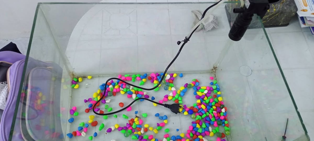 حوض سمك مع حجر وفلتر سعر 25 الف
حي لانتصار ***********
