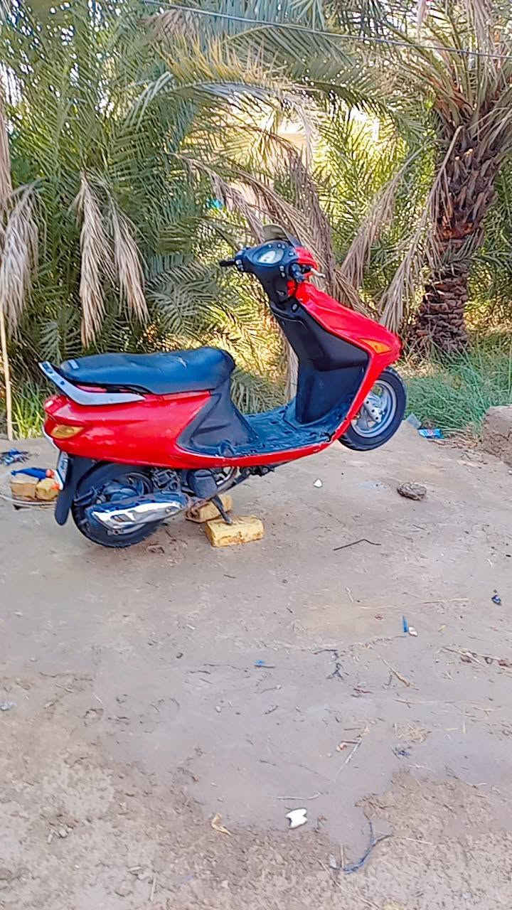 سلام عليكم دراجه البيع نضيفه كلها شغاله ضفيره جديده كهربائيات كلها شغاله شاير تايرات جدد عوزها بس باتري السعر 300وبيها مجال لاستفسار راسني خاص


**إذا كنت صاحب هذا الإعلان وتريد حذفه لأي سبب، رجاءا أرسل رسالة إلى الدعم الفني**