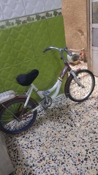بيسكل • للبيع