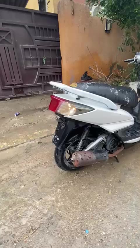 دراجة سكنس فحل نضيفة مامفتوحة بلادية 
السعر 500 وبيها مجال 
*********** متواجد فقط واتساب
