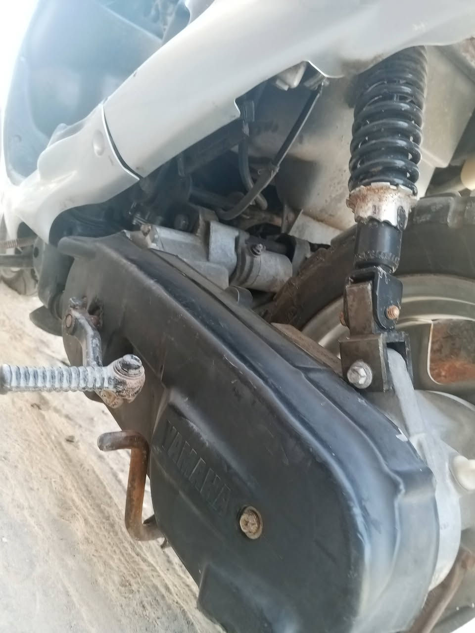 دراجه دوالفين للبيع سعر 350 وبيه مجال ***********
