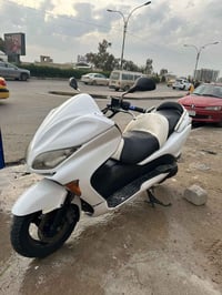 فورزا 08 • دراجه شرط • أوراق كاملة