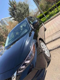 سنترا ٢٠٢١ • بونيت مصبوغ • كورك أربيل