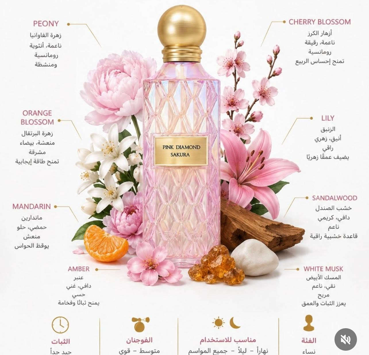 مساء الخير حبايب ، عندي بيج تقسيمات العطور الاصلية و كم طلب طلع كم مرة
بهل كروب و نال اعجابهم ✨✨ 
راح احجيلكم شوية على شكم عطر صيفي متوفرة تقسيماته ب اسعار جدا حلوة 

عطر كيلفن كلاين ذا مومنت الي يخلي يحس نفسة بوكيه ورد متنقل رَهيب هذا العطر🎀🎀 

عطور ابراهيم القرشي جداااا طيبة و صيفية بنك دايموند يكون نظافة و ازهار ب الضبط كأنما طالعة من الشاور 🥰

البربل هاوت سويت خفيف و ازهار  اهم شي ميكون ثقيل ب هذا الجوو 🥹🎀 

و اخيرا عطر رجالي لاميل من جان بول بارددد ومنعش كل الصور  موجودة ب بالبوست 

و تنورني ب الحساب 

https://www.instagram.com/lubna_perfume298?igsh=dmV2enI0ZDg0Zjhn&utm_source=qr


**إذا كنت صاحب هذا الإعلان وتريد حذفه لأي سبب، رجاءا أرسل رسالة إلى الدعم الفني**