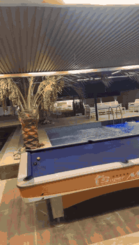 أبو غريب • ٥ دونم • بستان نخيل ١٨٠