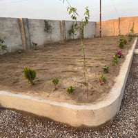 اشتغل جميع الحدائق والبساتين  وتنظيف الحدائق من الدغل وتقليم الأشجار و...