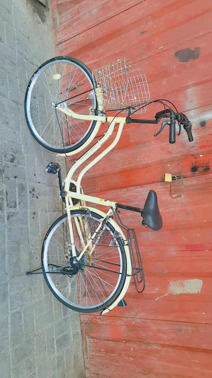 السلام عليكم بسكل لبيع حجم ٢٦ كير وحساس كامل مكمل غير مستعمل بل عراق جديد جدن زلق واحد مابي الون حليبي سله ستيل بعده عله وضع حاويه جديد حله من صوره عنوان بغداد صدريه متواجد وتساب سعر ١٣٠ قفل 🔐 هاذه رقمي ***********
