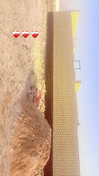 07878502180