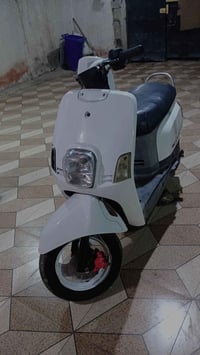 بوشه ٤٩ • مكينه ناعمه • مجال