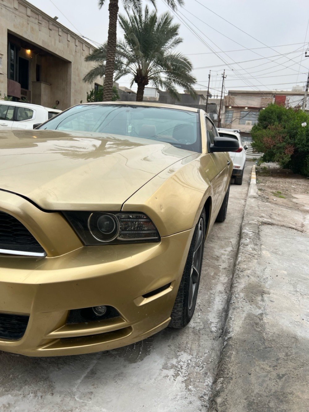 سلام عليكم سياره موستنك موديل 2014
نص موصفات القماره حديد 
كشنات كهربائيه وتغليف جديد 
مكينه 6 سلندر 
محرك گير مكفول 
السياره باسمي هزه جديده 
لونها البلادي ابيض غيرت لونها  ذهبي للجماليه 
حادثها خلفي فقط 
السعر 105 وبيه مجال حگ الجيه 
للتواصل
***********