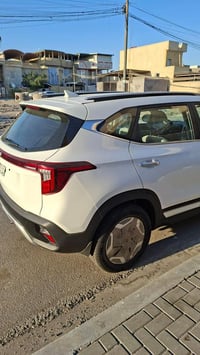 سيلتوس • ٢٠٢٥ • البصره المعقل