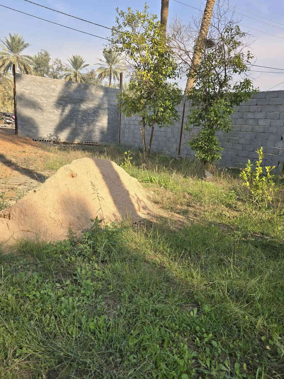 800م في كربلاء مقابل جامعه الوارث خدمات فول منطقه فول عتبليط مباشر
سلام عليكم اخوان قطعه مساحه 800م في كربلاء طريق بغداد مقابل جامعه الوارث كامل خدمات مسيجه بلكامل وجه تبليط مباشر ماء سقي ماء اساله كهرباء سحب كله فول سند 25قرار محكمه سع ر 185وبيها مجال الشراي بيه خير ويدلل ***********ابو ادم
