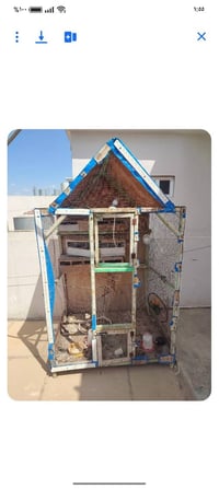 قفص طيور • للبيع • حي الواسطي