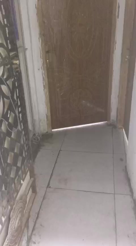 السلام عليكم 
شقه للايجار 
مطيحه قرب سيد عدنان 
طابق لاول غرفتين وصاله ومطبخ وصحيات عمال موضفين مصرين 
400 قفل
سورين
***********
