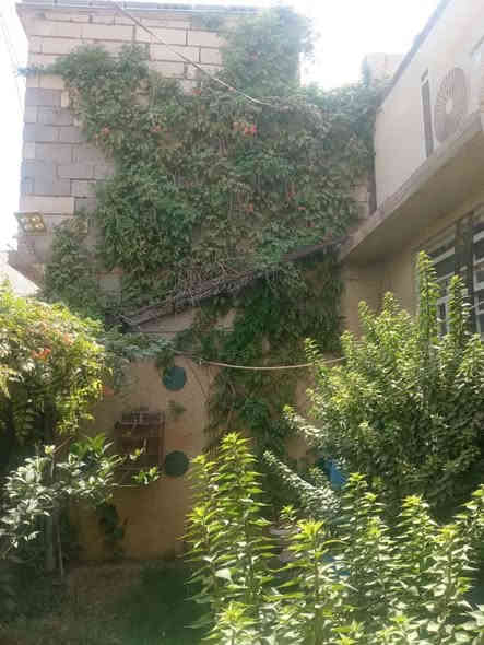 السلام عليكم بيت للبيع كربلاء قرب قنطرة السلام شارع المدرسي مساحة ١٥٠ ركن طابو سند ٢٥ تبليط كافه الخدمات مجاري كهرباء يبعد عن الامام عشر دقائق اقرب نقطة على باب طويريج يحتوي على ٤ غرف نوم ٣ فوك وحده جوا يحتوي على صالتين واستقبال ومطبخ وحديقه داخليه وحمامين جوا  وصاله فوك وحمامات يصلح حسينية وبيت سكن بناء حديث السعر ١٧٥مليون مجال بسيط جدا الاستفسار ‭٠٧٨٠ ٣٢٤ ٧٩٣٥‬
