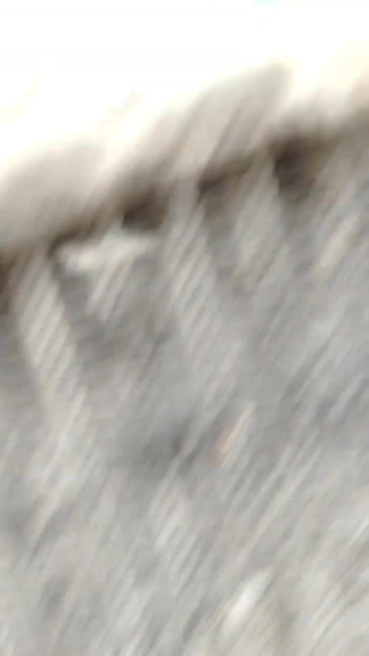 ***********
***********
