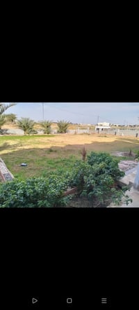 أرض زراعيه • كوت اليوسفيه • ٣د