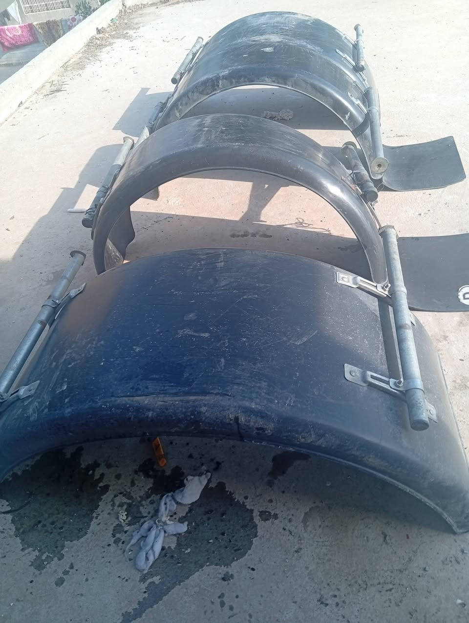 السلام عليكم للبيع دبل شاصي ارتفاع 12 سانتيم و تخم چامرلقات اصلي ***********
