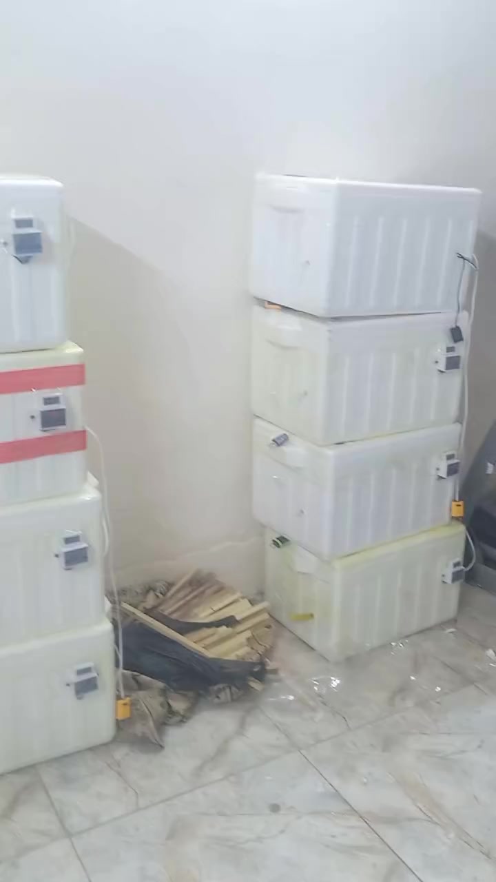 السلام عليكم ورحمة الله وبركاتة توفر فقاسات بسعر ٥٠الف بدل ال٦٠الف مع التوصيل مجاني لباب البيت فقاسه عالميه حساس مروحه حساس رطوبه حساس حراره فتحات تهويه جامه للنضر للبيض وتجيك طاسه مي مال فقاسه تجيك الفقاسه كامله نسبه التفقيس 95 بل 100اذا ما صار انتاج ترجع الفقاسه وترجع فلوس واضل وياك لحد ما تنتج الفقاسه للاستفسار او الحجز ***********
