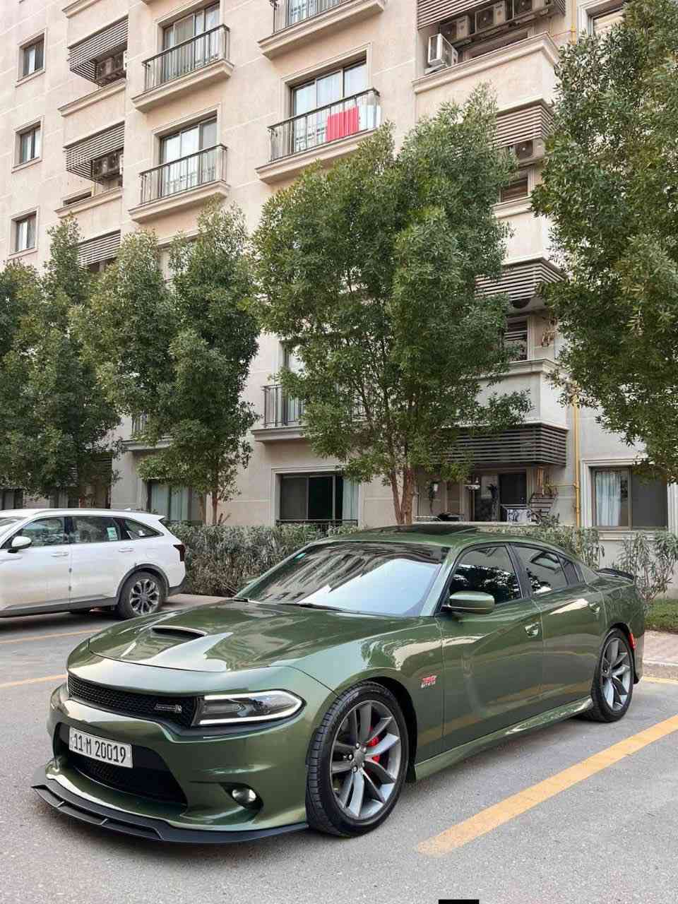للبيع دوج چارجر سگات باگ موديل 2018 ✅

سعرها ادخل ع رابط https://t.me/carssofiraq/16137

بدي اصل SRT سوبر تراك باك بلادي الون زيتوني السياره فول مواصفات 1/1 للاخير عدا الرادار فقط وارد امريكي حادثها خشم البنيد  وصور الحادث موجوده والباب خلف سائق صبغ .
السياره بدون اي نقص ايدي بيها ماشيه 87mi شرط كير ومكينه وصدر جديد مبدل تراي بدون اي رجه السياره رقم بغداد (السنوية باسمي) وعليها رقم يخبل كلش حلو وسياره ايدي بيها بدون اي نقص 
====================================
المواصفات ...
بصمة 
فتحة
داخل كنتاره مختوم سكات 
كشنات خزن ميموري 
كشنات حضن
تدفئة وتبريد بالكنشات الامامية
تدفئة بالكشنات الخلفية
تدفئة استيرن 
سستم سماعات بيست 
دمام خلفي بيست 
كلاصات تبريد وتدفئة 
فچوج برمبو ٤ بستم
نظام LAUNCH
نظام DRICVE MODES
شاشة كبيرة 8,5 أنج جميع الأوبشنات مفتوحة 
كير 8 نمر
شفتات استيرن
حساس خلفي ابلادي 
كشافات زينون 
منظومة زينون شادلها 
كامره خلفيه دواره HD
دبلات صفر SRT
ويل گب دايتونا 
ولف حماوه ريسنگ انسة الحماوه صيف وشتى 
فصله بلاديه ممفتوحه
دبات سود SRT
احزمه لون اخضر 
شوته رياضيه 
دگمه سبورت
رقم الشاطي هذا ( 2c3cdxgj4jh318942 ) 
مسويله تفريغ ونعمه صوت يخبل طرب وشادلها كاتم صوت بوابات 
وبعد بيها هواي مواصفات شباب المحرك 6400 اصل بالسنوية 
 السياره شوفتها مال موديل 2023
 بدي اصل SRT السياره عارضها بسعر حلو مال بيع مكاني بغداد (بغداد الجديده)
للاستفسار اكثر ***********
اسف ع الاطاله 🌹
.
.

🚗اعرض سيارتك ع اقوى قناة تلكرام و واتساب و صفحتي فيسبوك للبيع و شراء سيارات ادخل ع رابط 👈 https://t.me/carssofiraq
