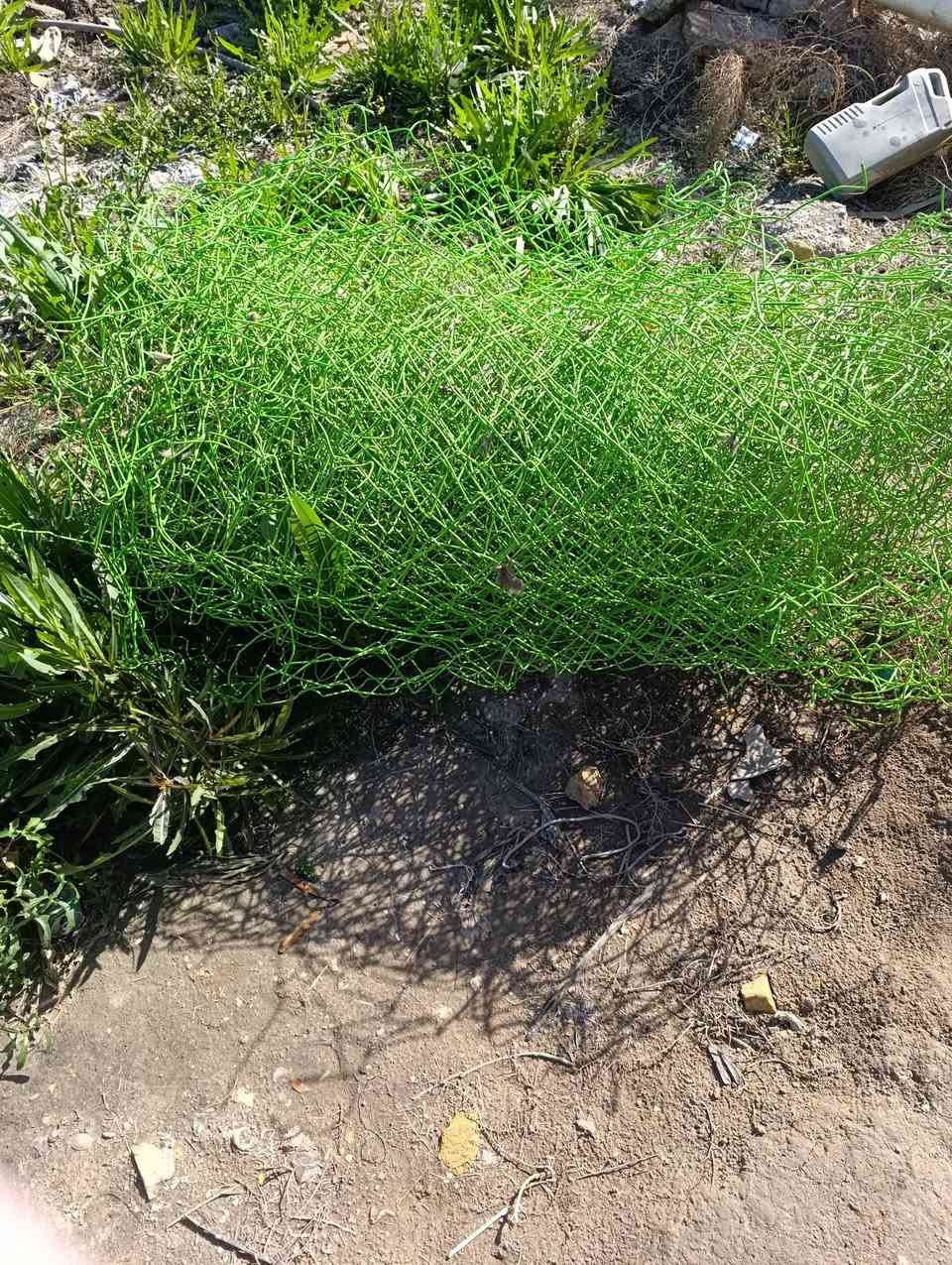 سلام عليكم شيلمانه اب 25وقفص مكيف اب 10 وسيم 18متر ستخدام قليل اب25وهنكلاين 4اب 25  وشبات 5اب 20 مكان كرمة بني سعيد 
***********
