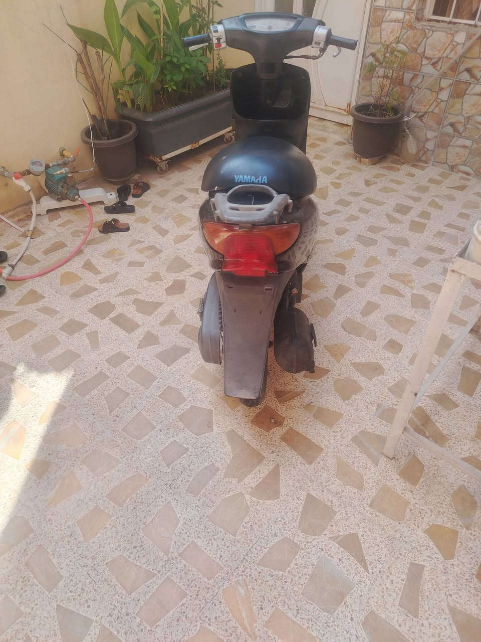 ماطور فرخ اكزز وايرمنية شغالة الايت هورن اشاير ماطور حيل نضيف خير من الله معمر بس تعمير رقم واحد مكاني بل ايمن سعرو 250
لاستفسار ***********
