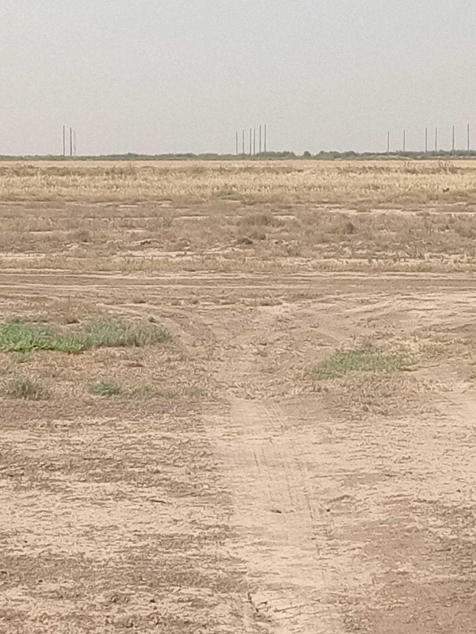 سلام عليكم دوانم للبيع طابو زراعي سند 25 تحويل مباشر كنعان منطقة بيت الاغا سعر الدوانم مناسب الاستفسار عن هاذا الرقم ***********
