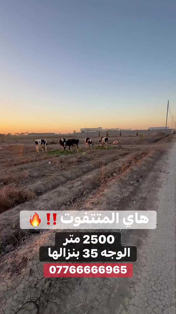 #***********  #دوانم #عقارات_بغداد #ايجار #سكني #الدوره #مزارع #عقارات  #البوعيثه_وعز_البوعيثه
