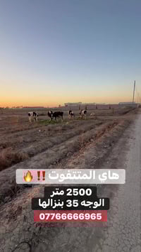 المحمودية بغداد • ٢٥٠٠م • دوانم