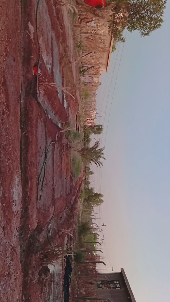 🌳🏡 عمي بهذا الموقع والهدوء وراحة البال... ببلاش! 🏡🌳
فرصة ذهبية لامتلاك أرض بموقع مميز وهادئ جدا قريب من جميع الخدمات، ومناسبة للسكن أو إنشاء مزرعة أحلامك او تصلح موكب او حسينية لخدمة زوار الامام الحسين ( ع ) .

📍 العنوان: بابل – قضاء المحاويل  – طريق حلة بغداد – دخول طريق سدة محاويل - مباشرة على الشارع العام

✅ المساحة الكلية:  دونم وربع بدون المحرم الشارع 
تحتوي الارض على عدد من النخيل المتنوع ( مجهول ٫ مكتوم ٫ خضراوي ٫ زهدي ٫ خستاوي ) 
تحتوي ايضا على عدد من اشجار التين والرمان والتفاح والزيتون ) 
تحتوي على بيت كامل مساحته 480 متر 

يحتوي البيت على 
3 غرف نوم مع حمام لكل غرفة 
هول عدد 2 
مطبخ حار ٫ مطبخ بارد
صحيات عدد 3 
ترك
يحتوي على محل خارجي معزول 
كراج + حديقة عملاقة 

✅ تبعد عن شارع العلم حلة بغداد تقريبا 700 متر 
🚰 ماء إسالة متوفر
⚡ كهرباء متوفرة
🏡 مناطق سكنية قريبة
🌳 مزارع وبساتين مجاورة
🛒 قريبة على كافة الخدمات

🌿 فرصة مناسبة للسكن والاستثمار والاستمتاع بأجواء الهدوء والطبيعة بعيداً عن الزحام.

📞 للاستفسار والاتصال:

***********

