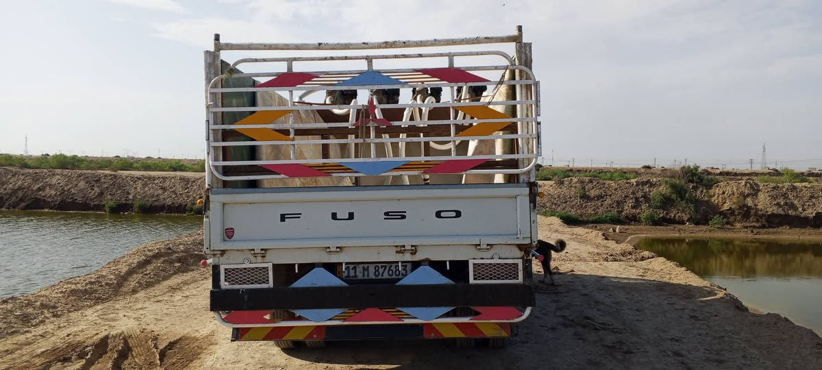 سلام عليكم سيارة موديل 24 ماشي 75الف جاهزة من كلشي مكفولة سعرة 275وبية مجال ***********
