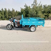 ستوته صقر • موديل 23 • كوت