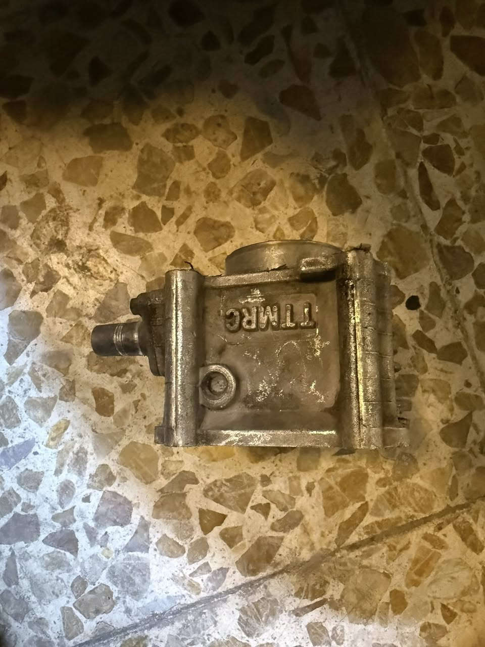 السلام عليكم تزويد سكنس فحل كلمن و سعره التزويد كله مال حاويه و نضيف متواجد خاص


**إذا كنت صاحب هذا الإعلان وتريد حذفه لأي سبب، رجاءا أرسل رسالة إلى الدعم الفني**