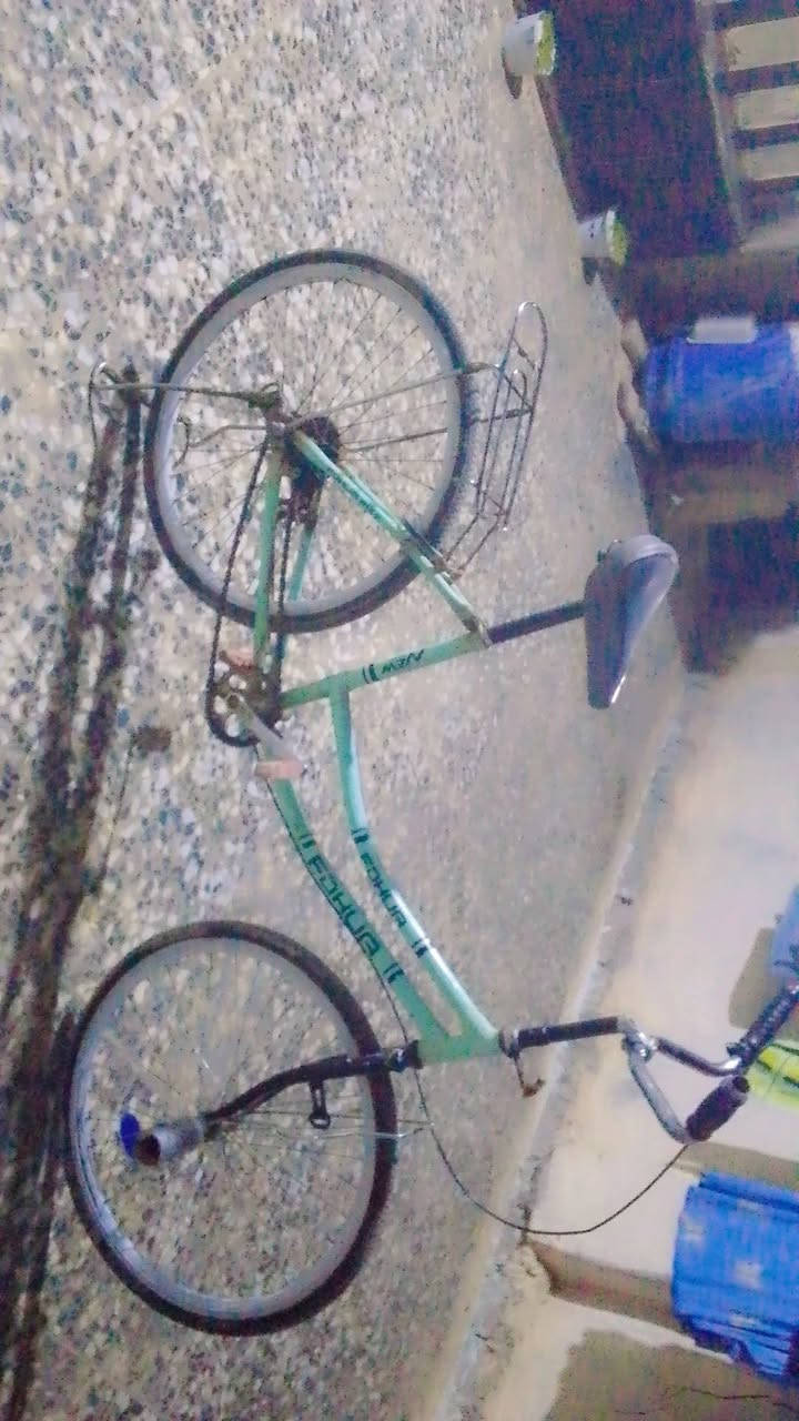 السلام عليكم بايسكل للبيع نضيف حجم 24 جاملغاته موجوده وصينيه مال زنجيل هم موجوده وسعره مناسب سعر 65وبي مجال حك الجيهول يريد يطبلي خاص


**إذا كنت صاحب هذا الإعلان وتريد حذفه لأي سبب، رجاءا أرسل رسالة إلى الدعم الفني**