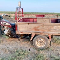 ستوته • موديل 2014 • جلولاء شيخ بابا