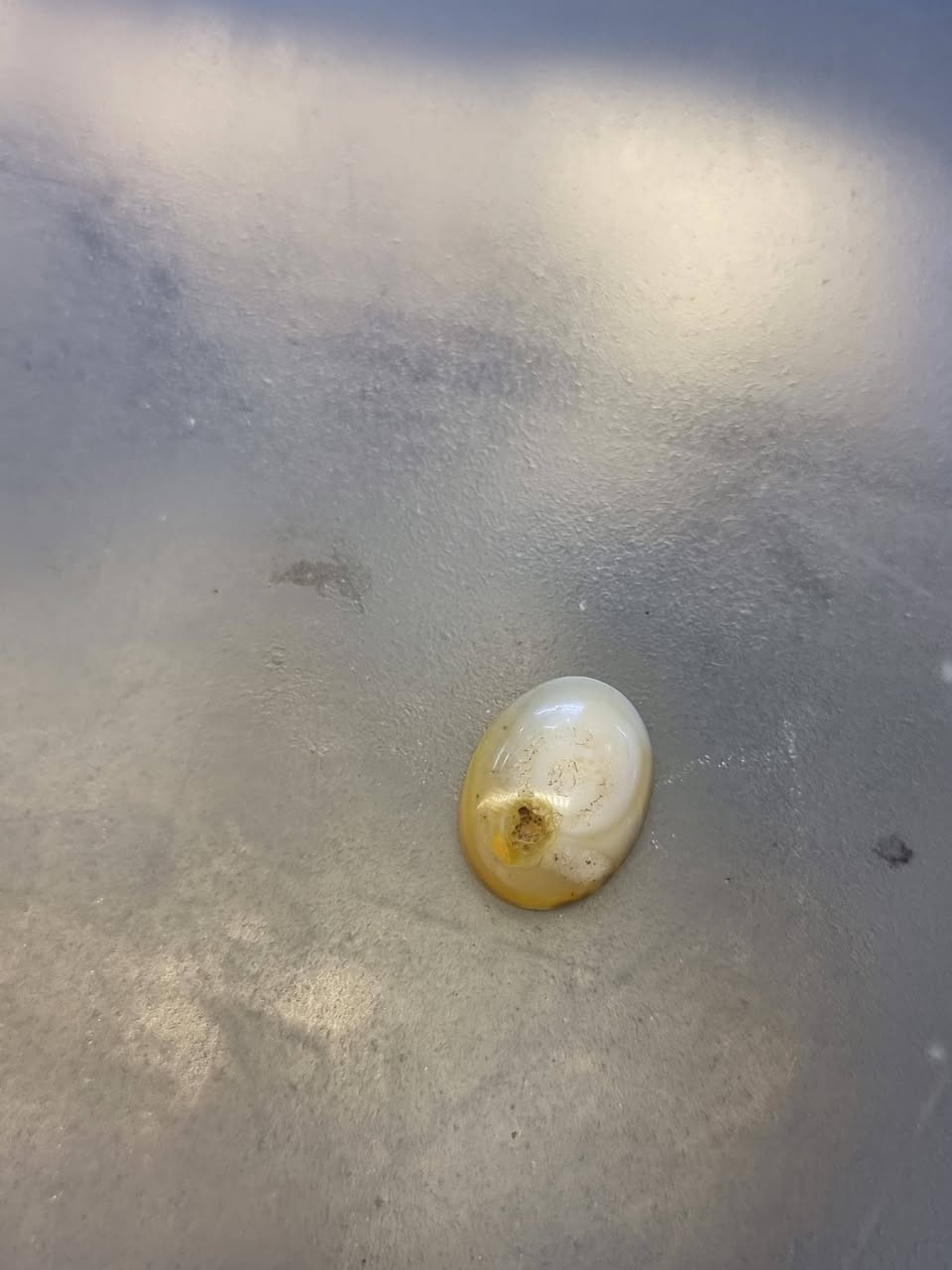 السلام عليكم
عندي هل قطعه للبيع عطف سليماني  بالنسبه لسعر ماعرف قيم وذا عجبني ابيعلك

القطعه تحفة  احلا من الصور وقديمة


**إذا كنت صاحب هذا الإعلان وتريد حذفه لأي سبب، رجاءا أرسل رسالة إلى الدعم الفني**