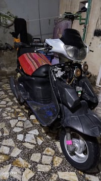 فراشة • نضيفه • مكفوله