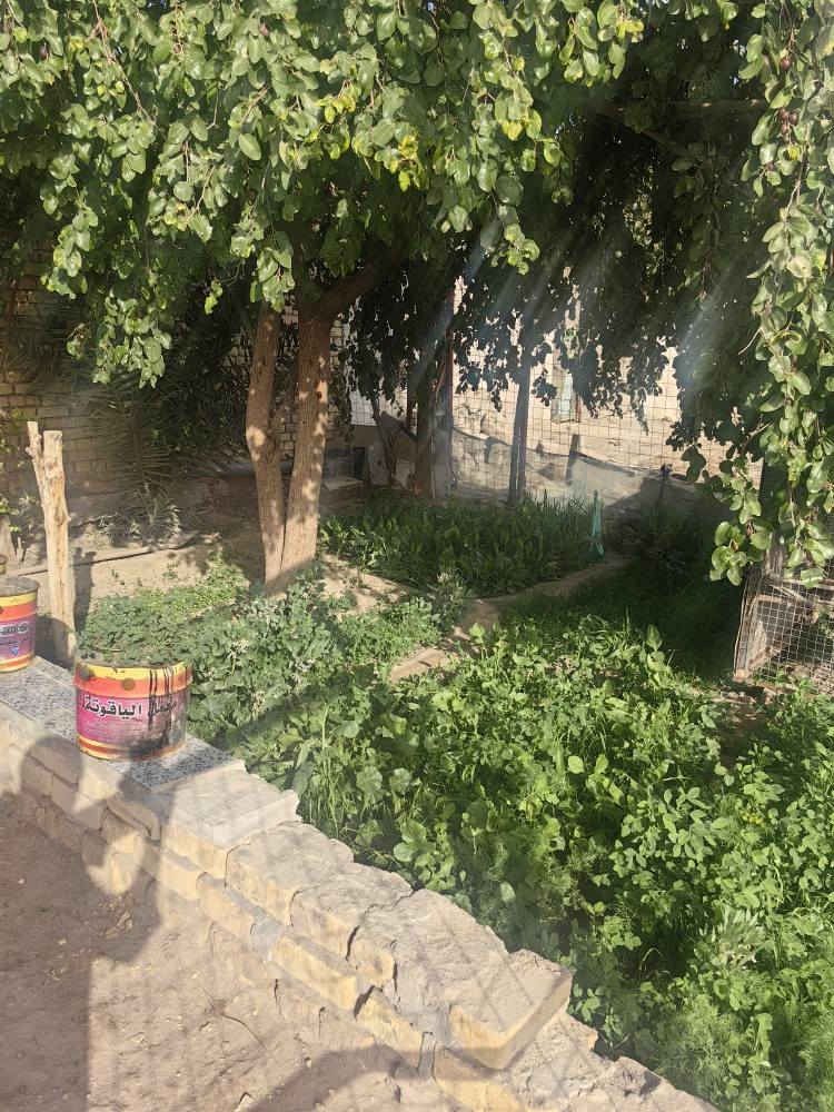 دار للبيع طابو مساحة 250 م بناء طابوق السقف كونكريت يحتوي 2 غرف، صاله، مطبخ، ديوانيه، ناحية الفضليه، شارع المحطه، رقم الهاتف*********** ، ***********
