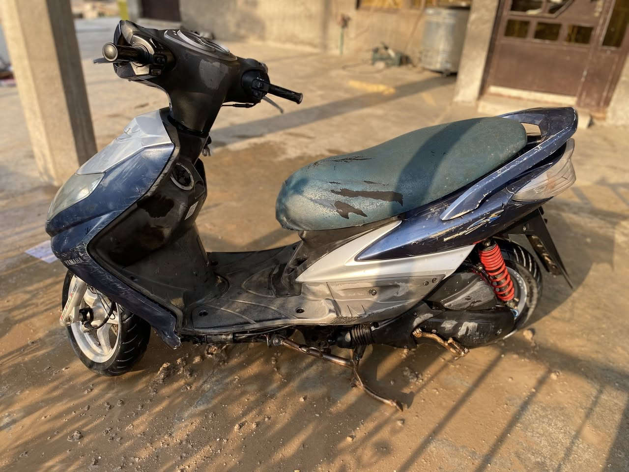 سكنس فحل ياباني  چاملق خلفي وأمامي موجودات بس اني فليتهم عنوان بغداد  السعر 650.    ***********
