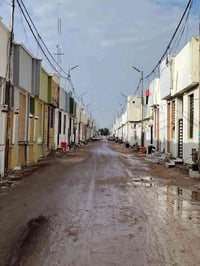 ٥٠م • طابو زراعي • قريه الغدير