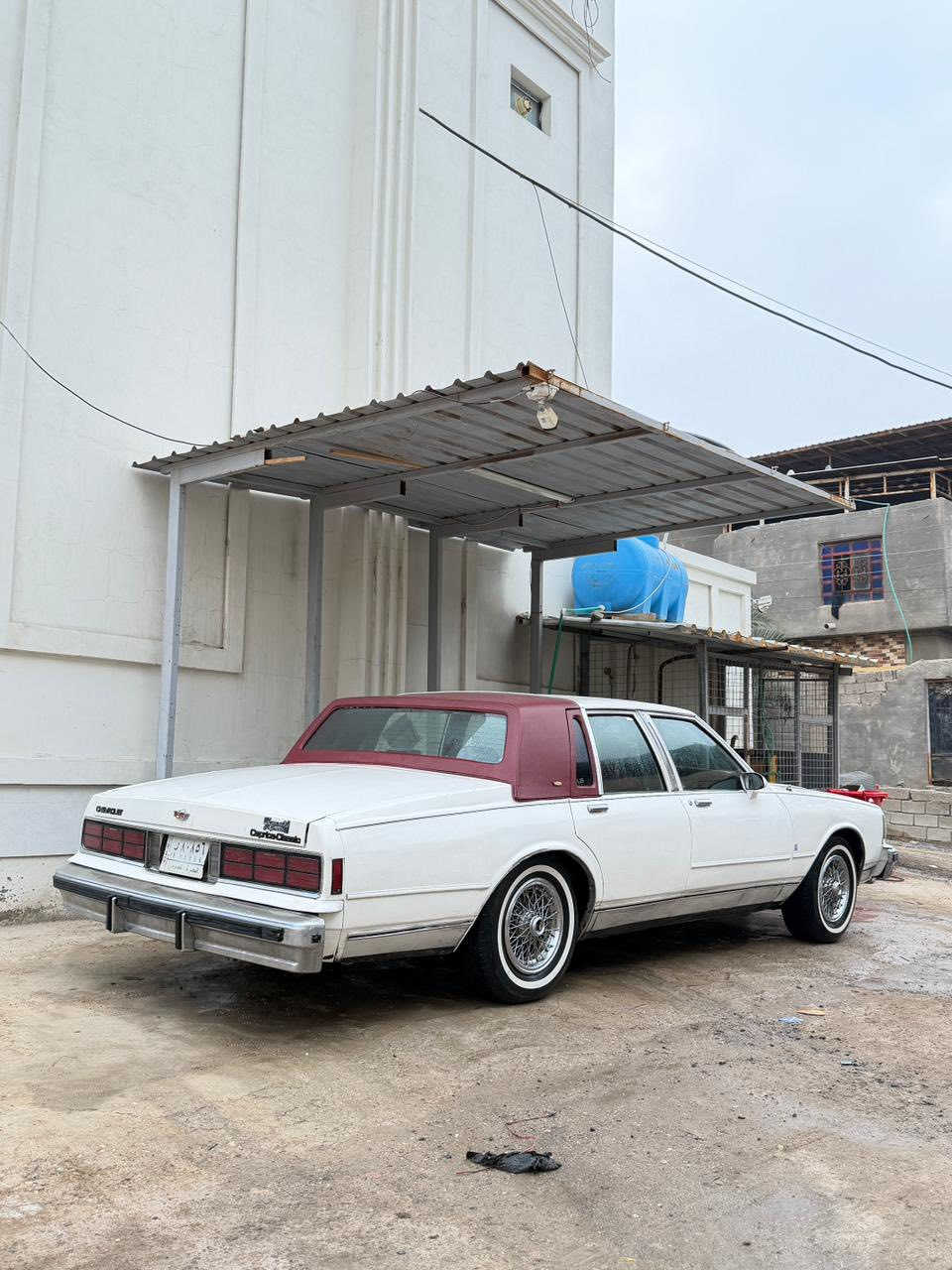 كابرس 1988 LS للبيع او لمراوس 
رقم بصره راعيها يريد تحويل 
سياره جاهزه مابيها نقص 
مكينه كير جديده صار10ايام من شديتها 
دواخلها نضيفه
كهربائياتها كلها شغاله
تخم تاير+سبير جديد 
دسكات جدد
تبريد جاهز ماعدا الغاز

السعر ،،،45 ،،،وبيها مجال للطيبين 

للاستفسار ***********
