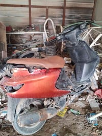 فراشة • للبيع • ديوانية أم الخيل