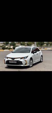 كورولا • ٢٠٢٣ • أربيل