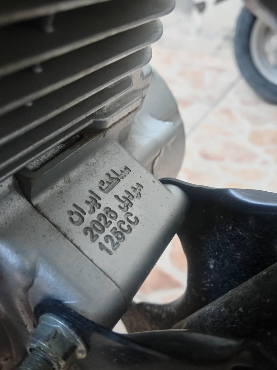 سلام عليكم 
دراجة تايكر ٢٦ شلعته فول صار شهرين من اشتريته كلشي بيها شغال صالصنه كاتم اذا مو شراي لا تجي رحمة لوالديك


**إذا كنت صاحب هذا الإعلان وتريد حذفه لأي سبب، رجاءا أرسل رسالة إلى الدعم الفني**