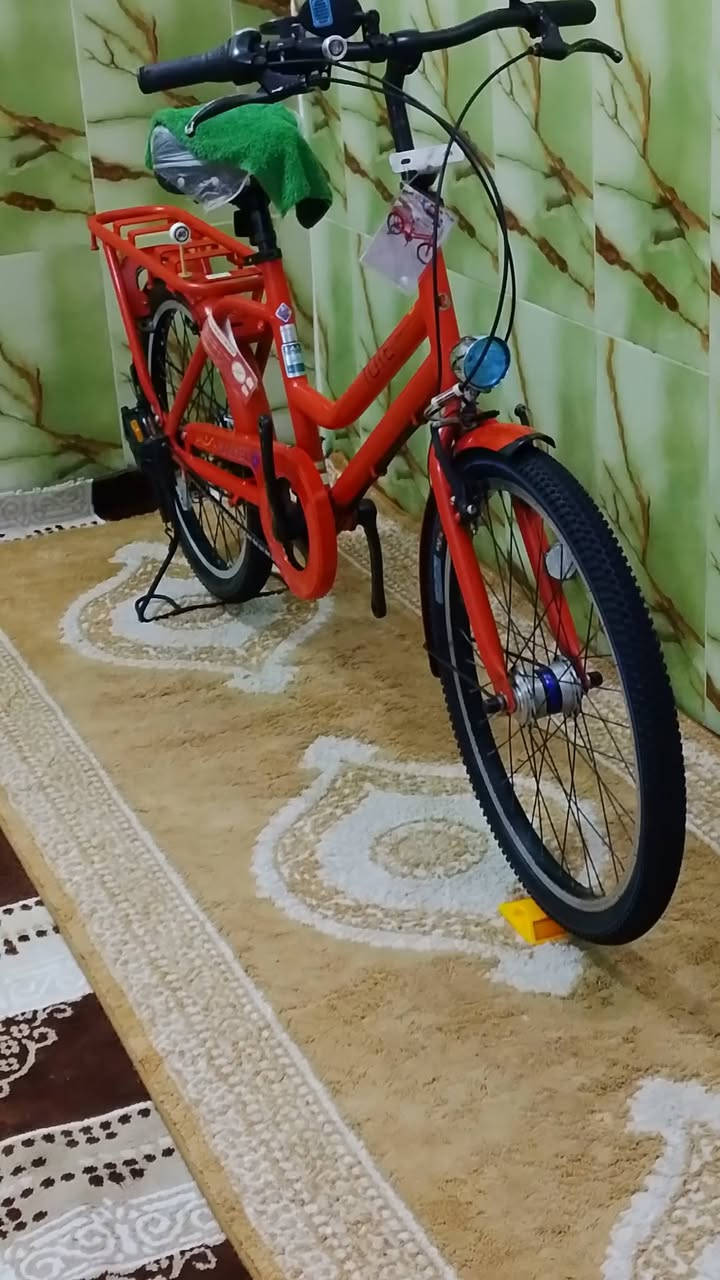 يا الله سلام عليكم بيسكل برجستون للبيع نضافه ميه بل ميه ياباني الشه الطويله 
بيسكل كارتون وعلي حساس لايت زنون سرج طبي 3 كير داخلي تايرات بل جيس بيسكل اوزان ***********او خاص وآسف عل اطاله 🌹
