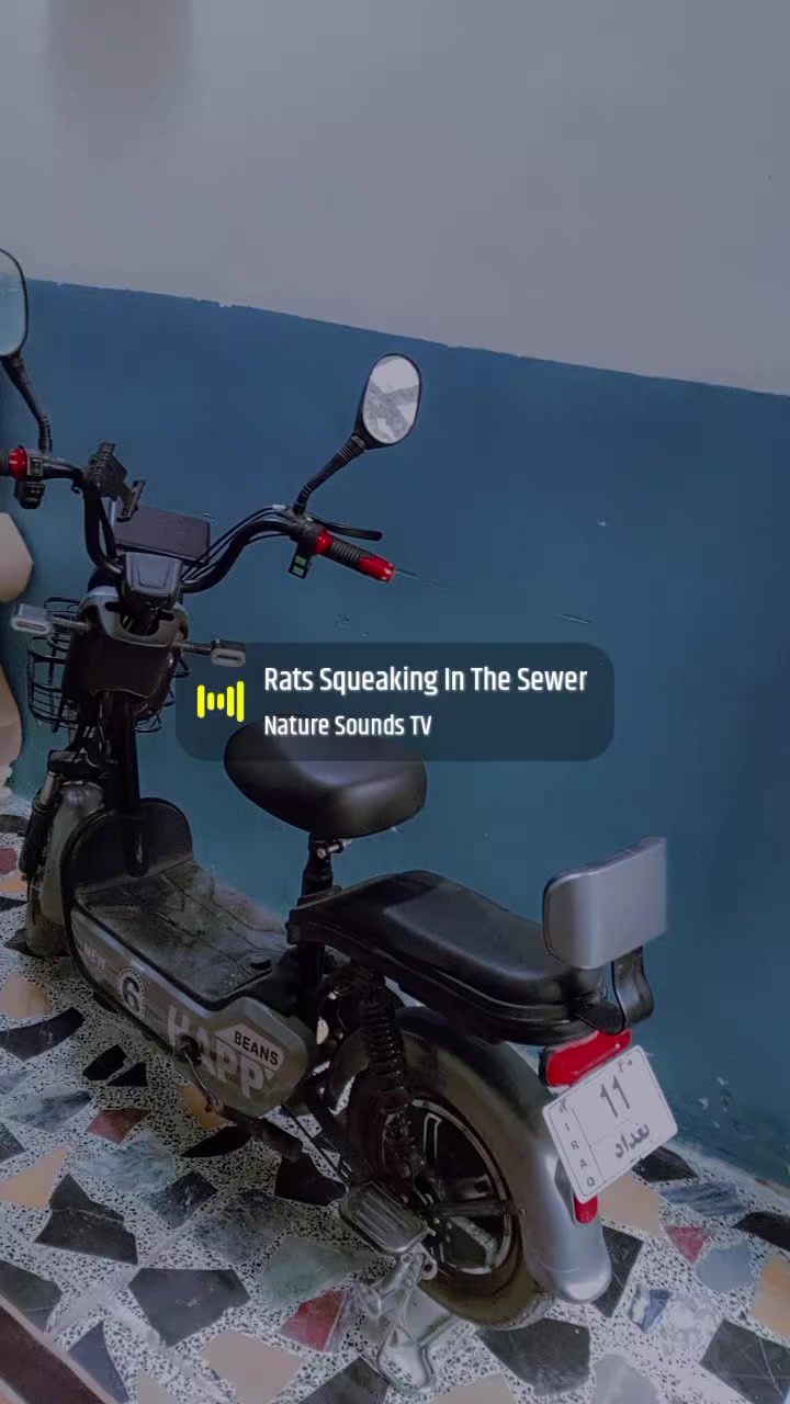 دراجه شحن 14 جديده مكفوله من كلشي 6 سويج وياها وجهاز انذار جديده استعمال قليل اخذتها ب500 سعر 300 شراي يتصل ***********
