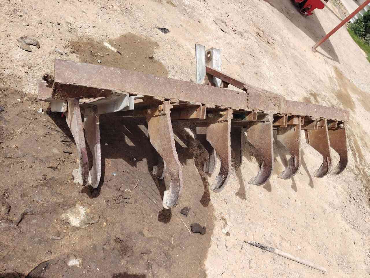 السلام عليكم خرماشه حجم ثنين ونص ارتفاع 65 العنوان بغداد اليوسفيه *********** السعر 250 ألف 13 سن
