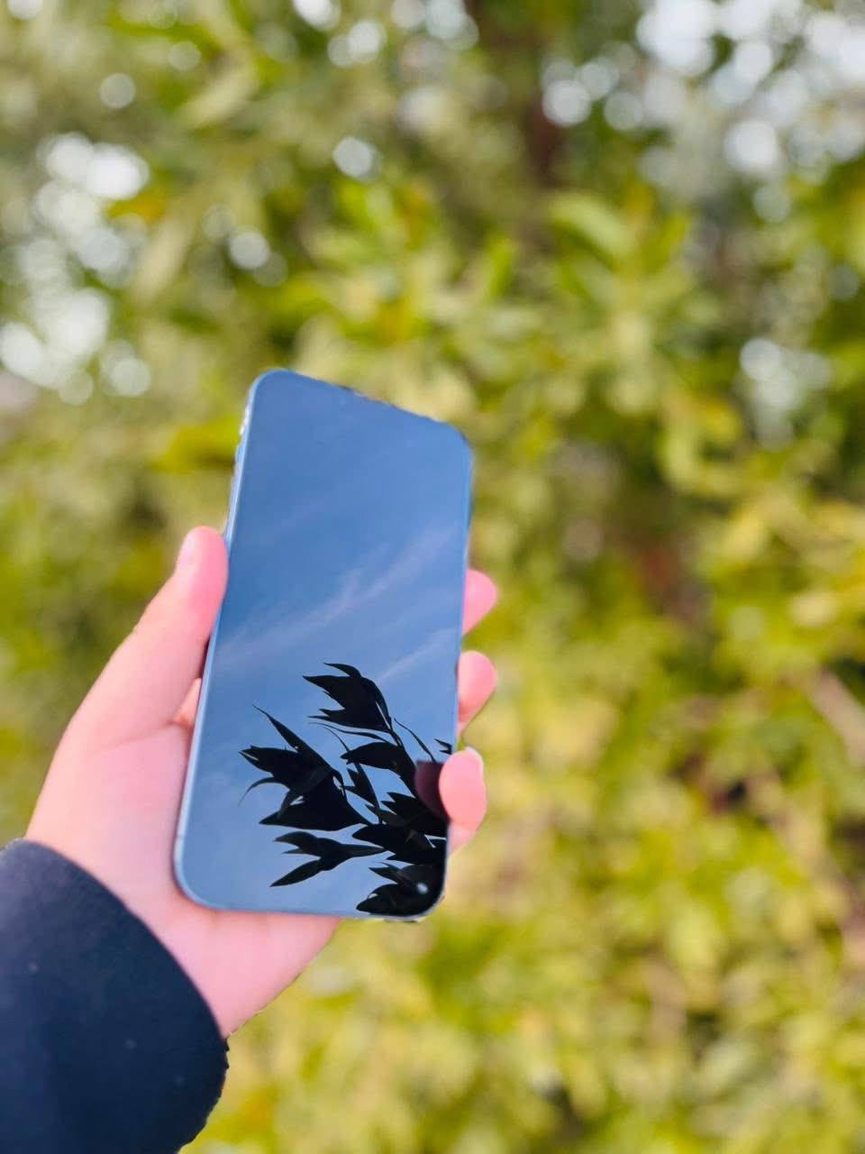 آيفون 13 برو ماكس ذاكرة 128 بطارية 80 بلادي تك سيم فقط شاشة مبدل فيس إيدي شغال  جهاز شخط مابي فقط بيع بدون مراوس  بسعر مناسب 395قفل ***********
